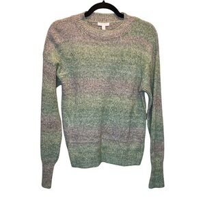 Abound Nordstrom Cotton Crewneck Sweater Teal Cyrus Space Dye Medium NWT